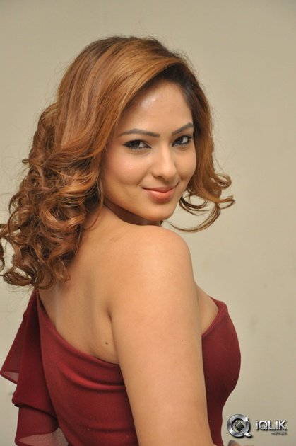 Nikeesha-Patel-At-Araku-Road-Lo-Movie-Pressmeet